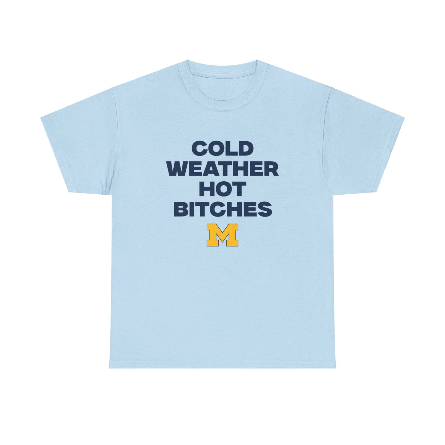 Cold Weather Hot Bitches Shirt