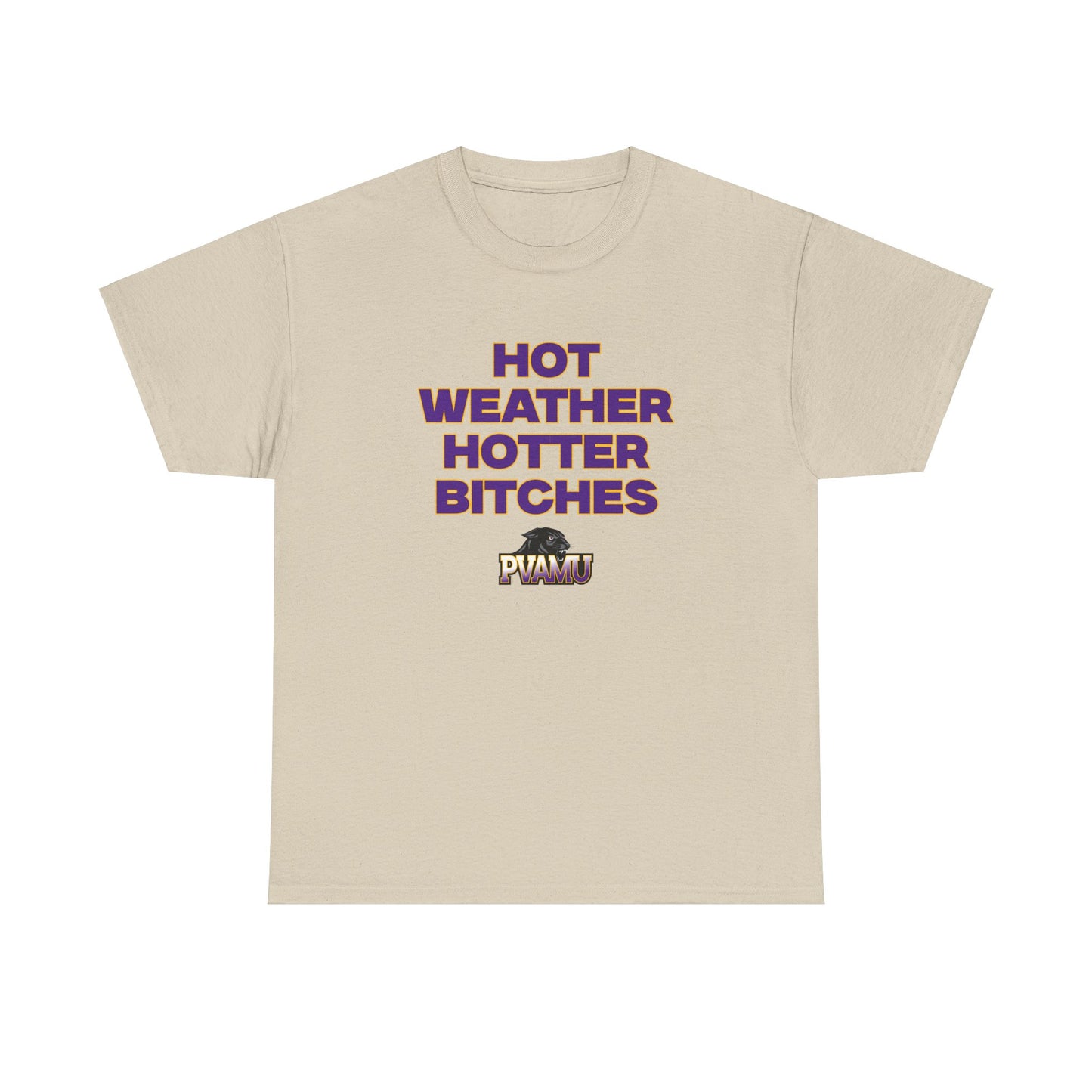 Hot Weather Hotter B**** Shirt