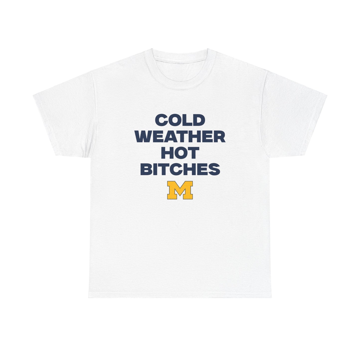 Cold Weather Hot Bitches Shirt