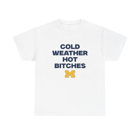 Cold Weather Hot Bitches Shirt