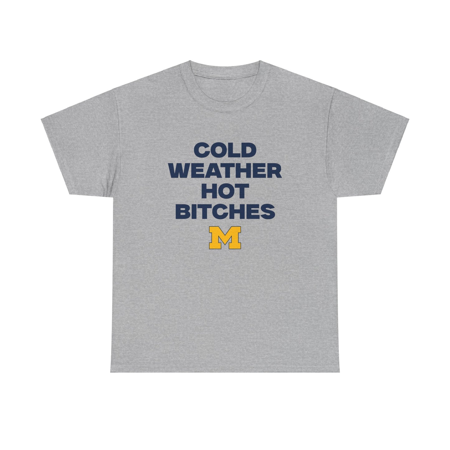 Cold Weather Hot Bitches Shirt