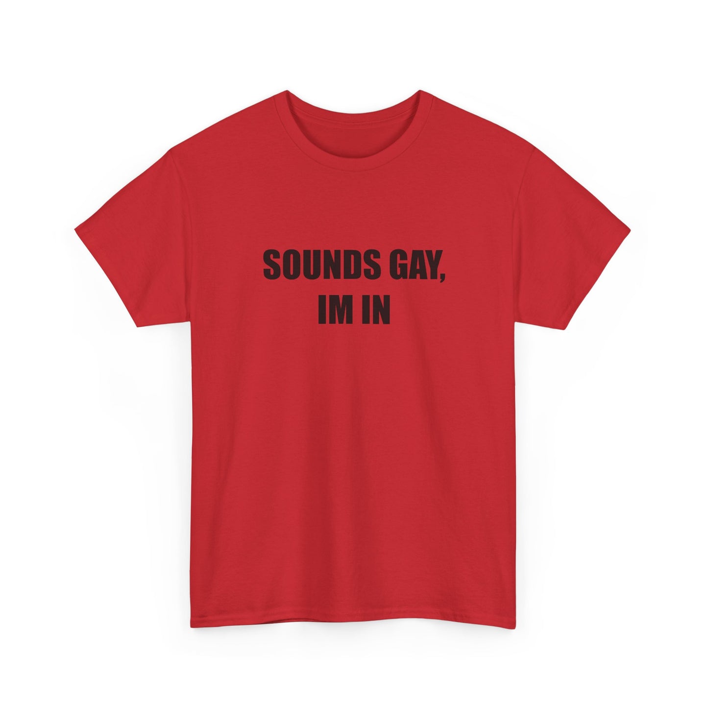 Sounds Gay, Im in Tshirt