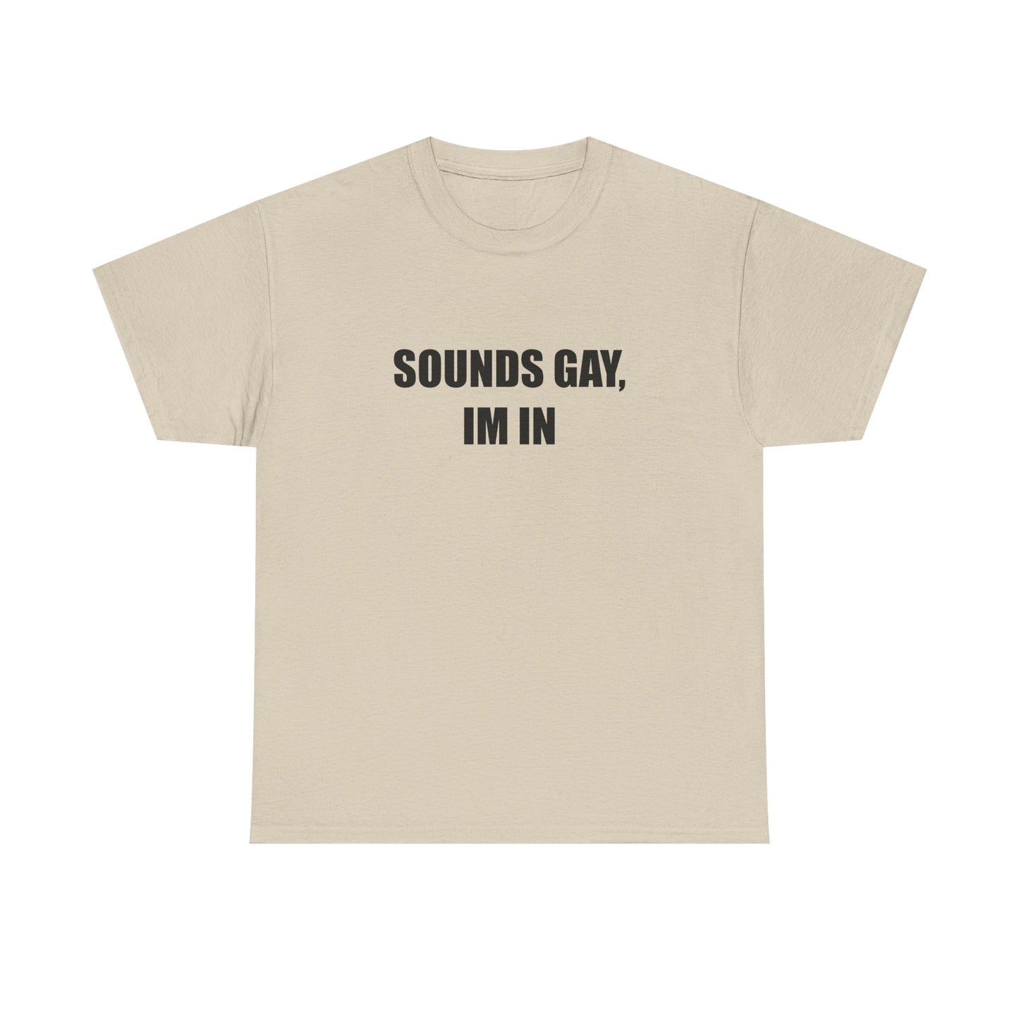Sounds Gay, Im in Tshirt
