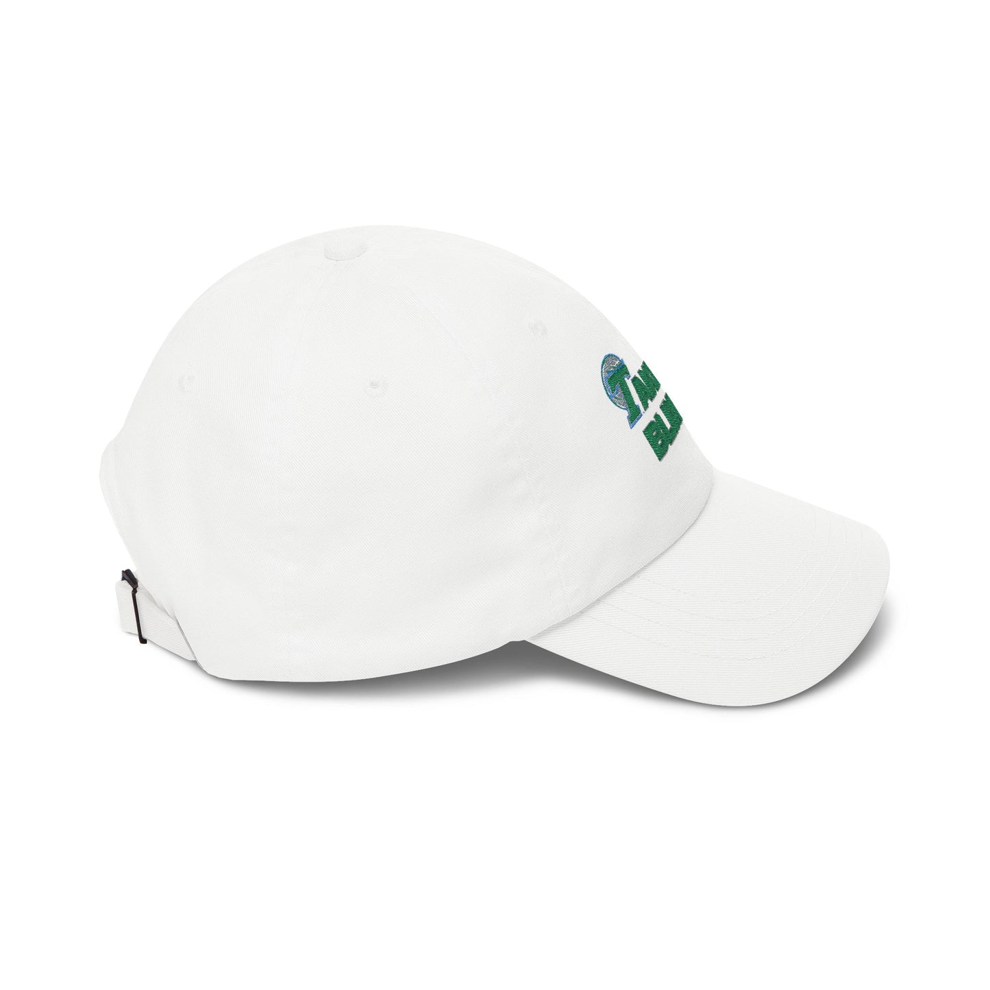 Take A Blinker Embroidered Hat