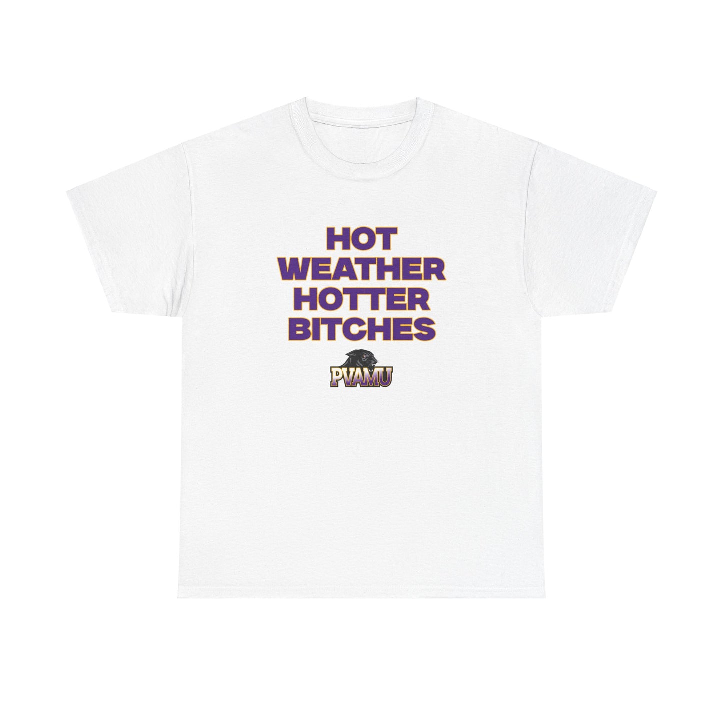 Hot Weather Hotter B**** Shirt