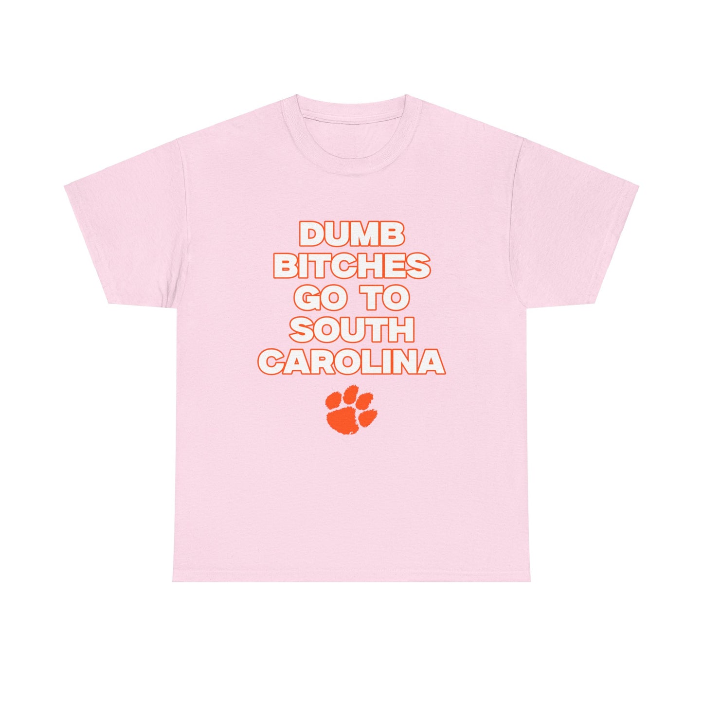 Dumb B****** Go to South Carolina Shirt