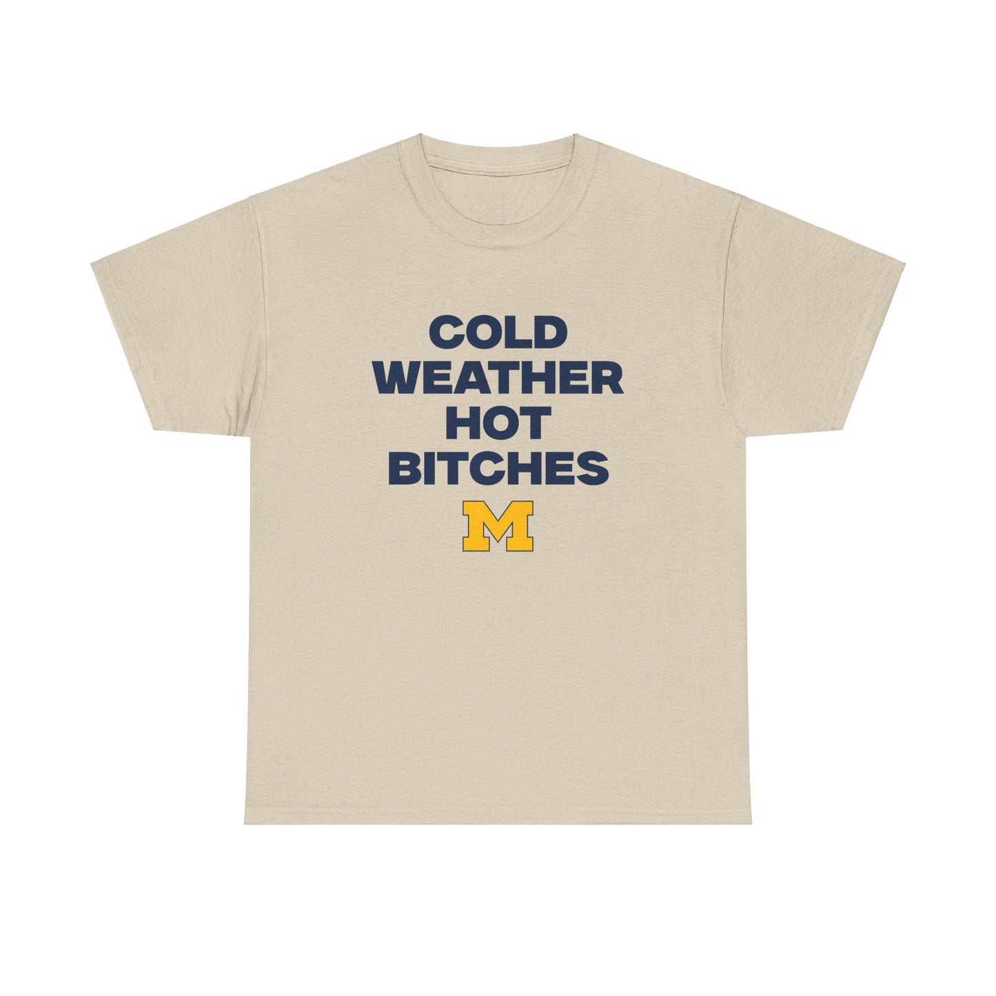 Cold Weather Hot Bitches Shirt