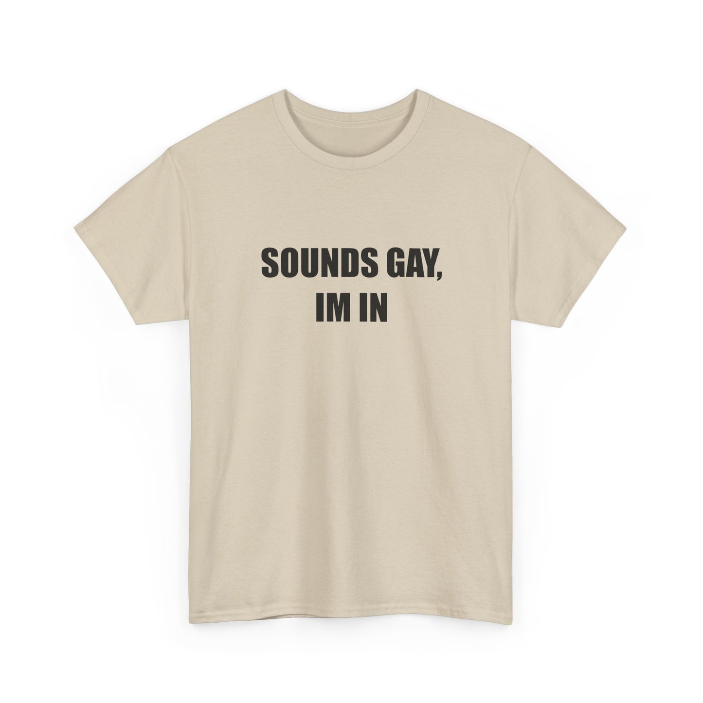 Sounds Gay, Im in Tshirt