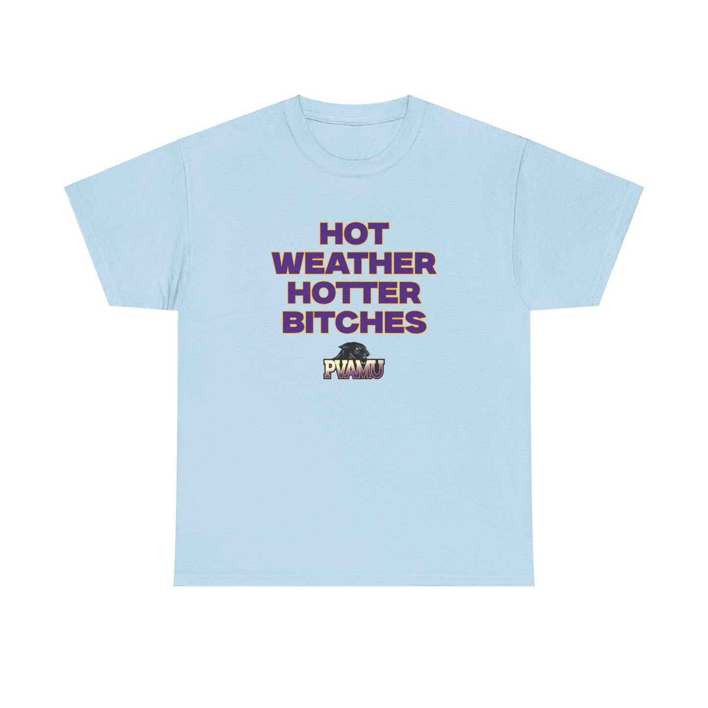 Hot Weather Hotter B**** Shirt