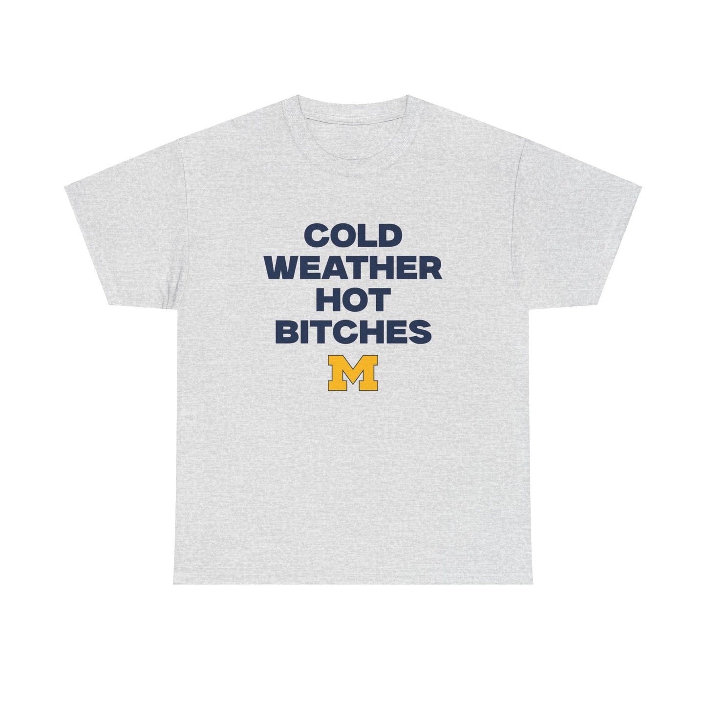 Cold Weather Hot Bitches Shirt